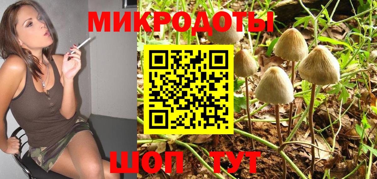 Медногорск  Псилоцибиновые грибы мухоморы  Вход с VPN 